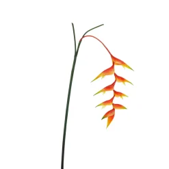 Decoración De Verano|Flores Artificiales>DecoWoerner Pinzas De Langosta De Heliconia Artificial 30 X 96 Cm naranja
