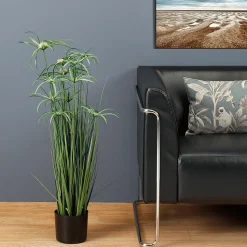 Hierba Decorativa><noscript><img width=
