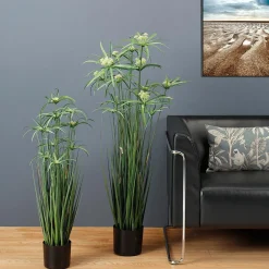 Hierba Decorativa><noscript><img width=