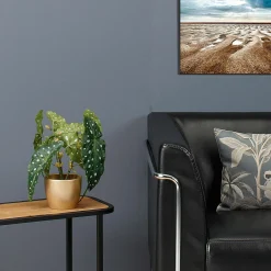 Plantas De Interior><noscript><img width=