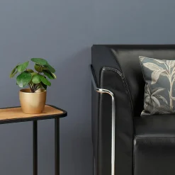 Plantas De Interior><noscript><img width=