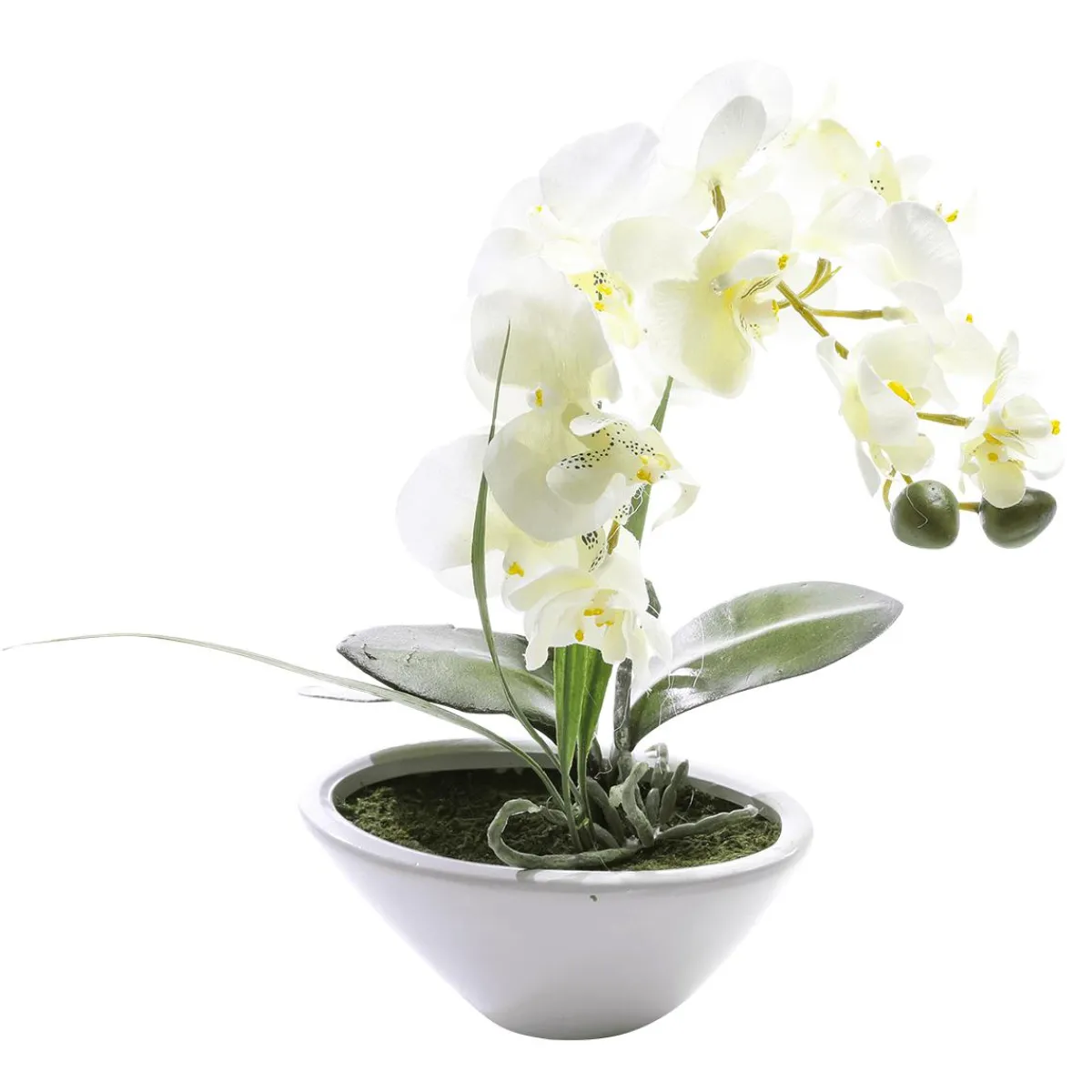 Plantas De Interior|Flores Artificiales>DecoWoerner Planta Artificial Orquídea En Maceta, Blanca 28 Cm blanco