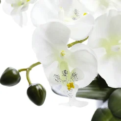 Plantas De Interior|Flores Artificiales>DecoWoerner Planta Artificial Orquídea En Maceta, Blanca 28 Cm blanco