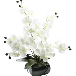 Plantas De Interior|Flores Artificiales>DecoWoerner Planta Artificial Orquídea , 40 Cm blanco