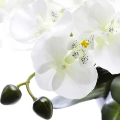 Plantas De Interior|Flores Artificiales>DecoWoerner Planta Artificial Orquídea , 40 Cm blanco