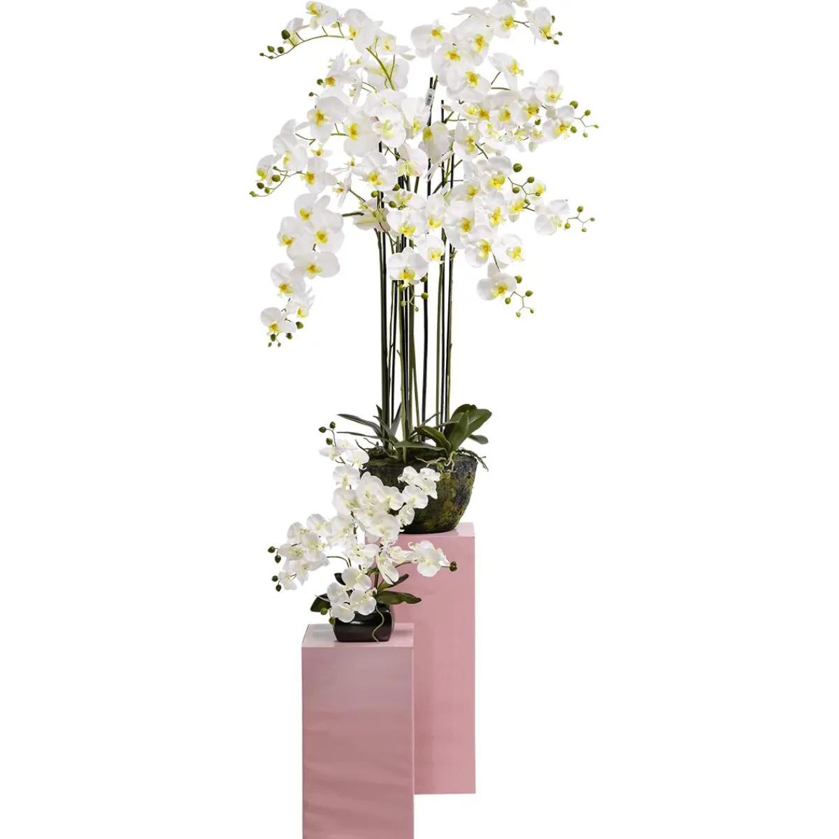 Plantas De Interior|Flores Artificiales>DecoWoerner Planta Artificial Orquídea , 40 Cm blanco