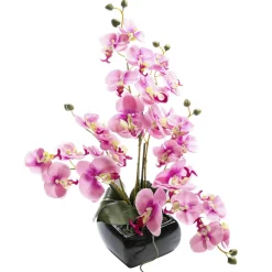 Plantas De Interior|Flores Artificiales>DecoWoerner Planta Artificial Orquídea , 40 Cm rosa
