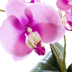 Plantas De Interior|Flores Artificiales>DecoWoerner Planta Artificial Orquídea , 40 Cm rosa