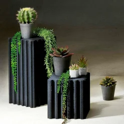 Plantas De Interior><noscript><img width=