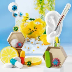 Decoración Temática><noscript><img width=