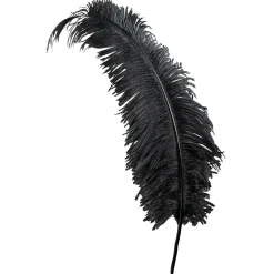 Decoración Temática>DecoWoerner Pluma De Avestruz, Color negro
