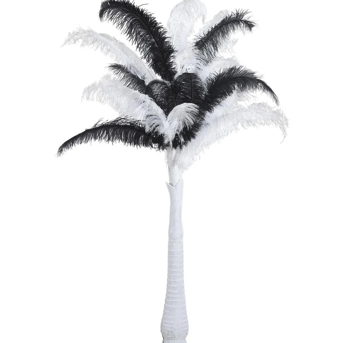 Decoración Temática>DecoWoerner Pluma De Avestruz, Color negro