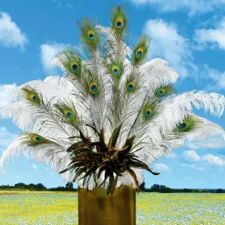 Decoración Dispersa><noscript><img width=