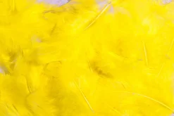 Decoración Dispersa|Decoración De Pascua>DecoWoerner Plumas Decorativas Amarillas, 20 G amarillo