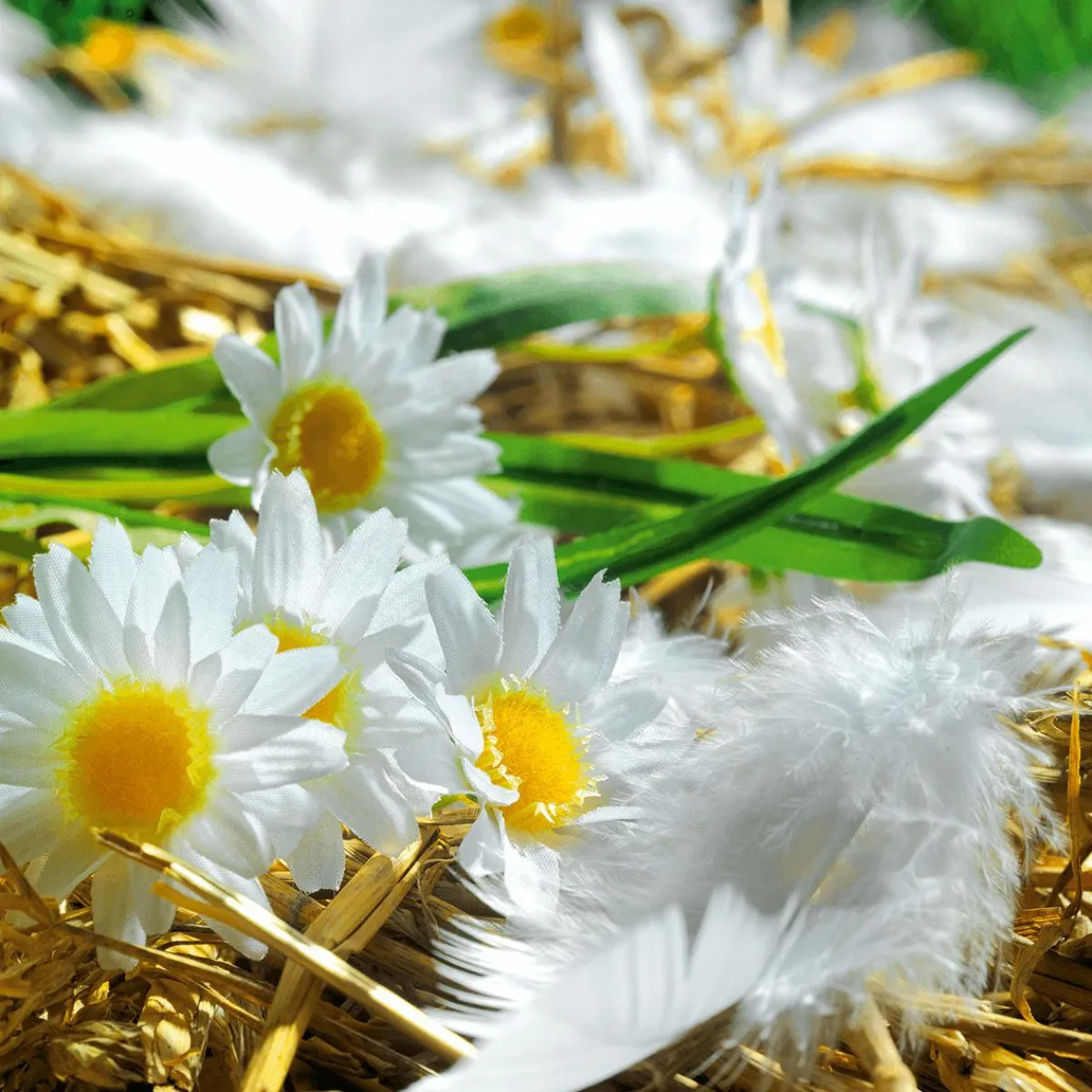 Decoración Dispersa|Decoración De Pascua>DecoWoerner Plumas Decorativas Blancas, 20 G blanco