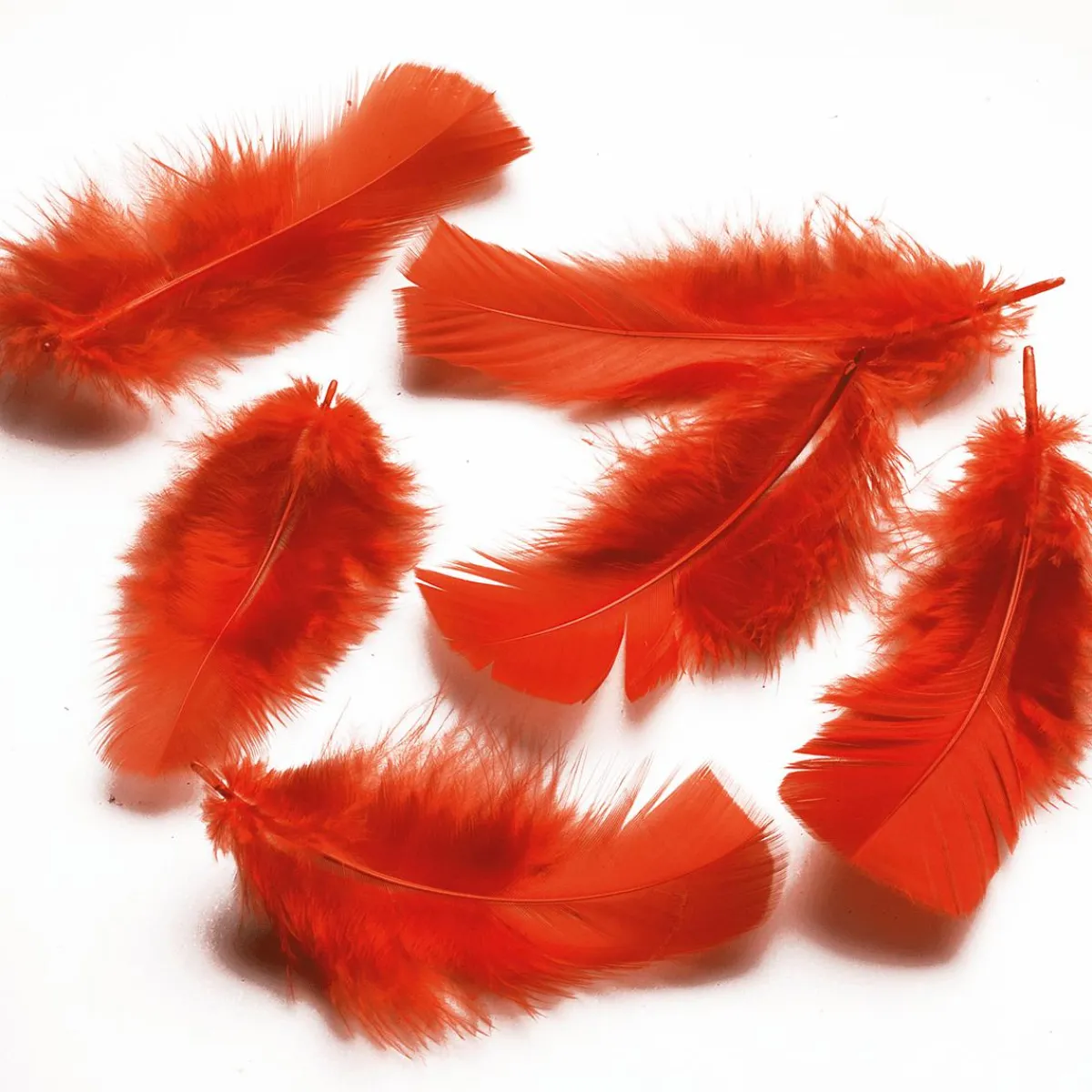 Decoración Dispersa>DecoWoerner Plumas Decorativas Rojas, 20 G rojo