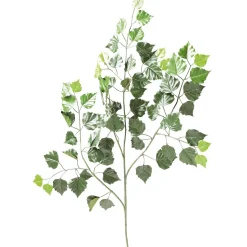 Decoración De Primavera|Ramas Y Ramitas>DecoWoerner Rama Artificial De Abedul 70 Cm, B1 verde