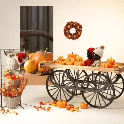 Decoración De Otoño|Ramas Y Ramitas><noscript><img width=