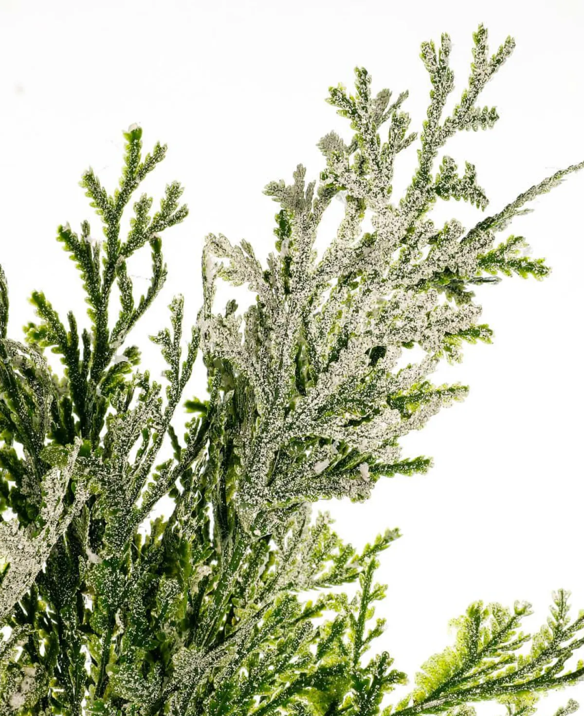 Ramas Y Ramitas|Árboles De Mesa Y Ramas De Abeto>DecoWoerner Rama Artificial De Thuja, 35 Cm De Largo verde