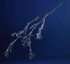 Decoración De Invierno|Ramas Y Ramitas><noscript><img width=