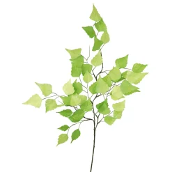 Decoración Temática|Decoración De Primavera>DecoWoerner Rama De Abedul Artificial, 60 Cm verde