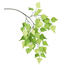 Decoración Temática|Decoración De Primavera>DecoWoerner Rama De Abedul Artificial, 60 Cm verde