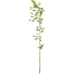 Decoración Temática|Ramas Y Ramitas>DecoWoerner Rama De Bambú, 190 Cm verde