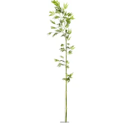 Decoración Temática|Ramas Y Ramitas>DecoWoerner Rama De Bambú, 190 Cm verde