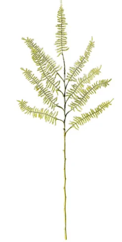 Decoración De Invierno|Ramas Y Ramitas>DecoWoerner Rama De Helecho Artificial Con Nieve, Longitud 80 Cm verde