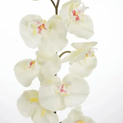Ramas Y Ramitas|Flores Artificiales>DecoWoerner Rama De Orquídea Deco Blanca 110 Cm blanco