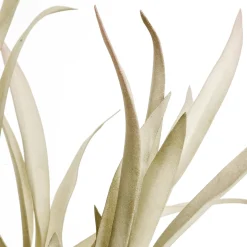 Decoración De Otoño|Ramas Y Ramitas>DecoWoerner Rama De Sauce Artificial Con Hojas Largas 2 Piezas, 62 Cm Claro verde