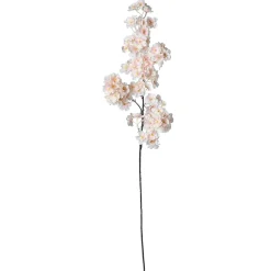 Ramas Y Ramitas>DecoWoerner Rama Decorativa Con Flores De Cerezo , 105 Cm rosa