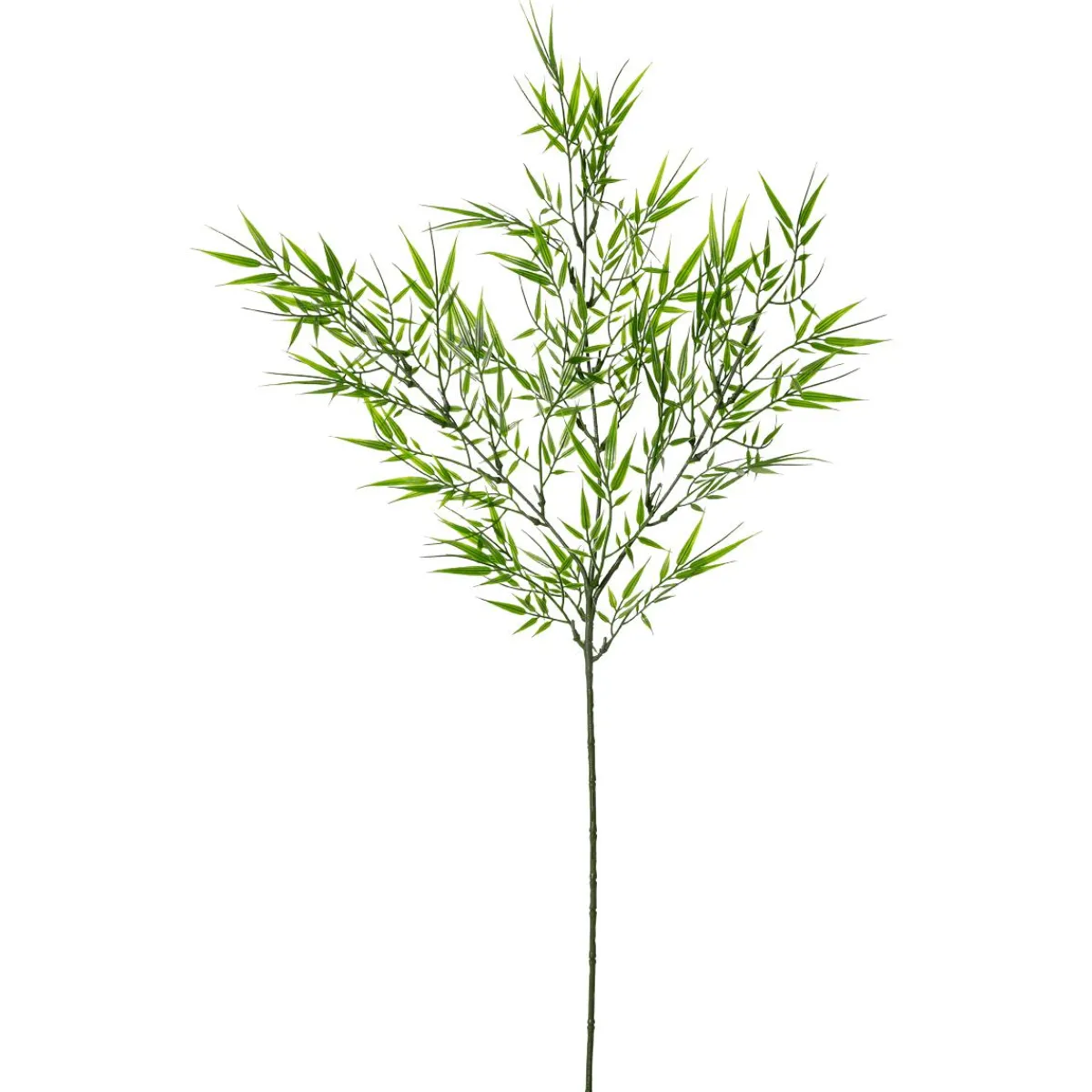 Ramas Y Ramitas>DecoWoerner Rama Decorativa De Bambú De 78 Cm De Longitud verde