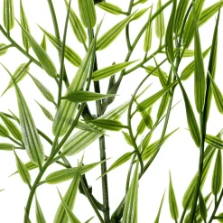Ramas Y Ramitas>DecoWoerner Rama Decorativa De Bambú De 78 Cm De Longitud verde