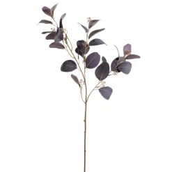 Ramas Y Ramitas>DecoWoerner Rama Decorativa De Eucalipto, 70 Cm De Largo violeta