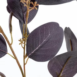 Ramas Y Ramitas>DecoWoerner Rama Decorativa De Eucalipto, 70 Cm De Largo violeta