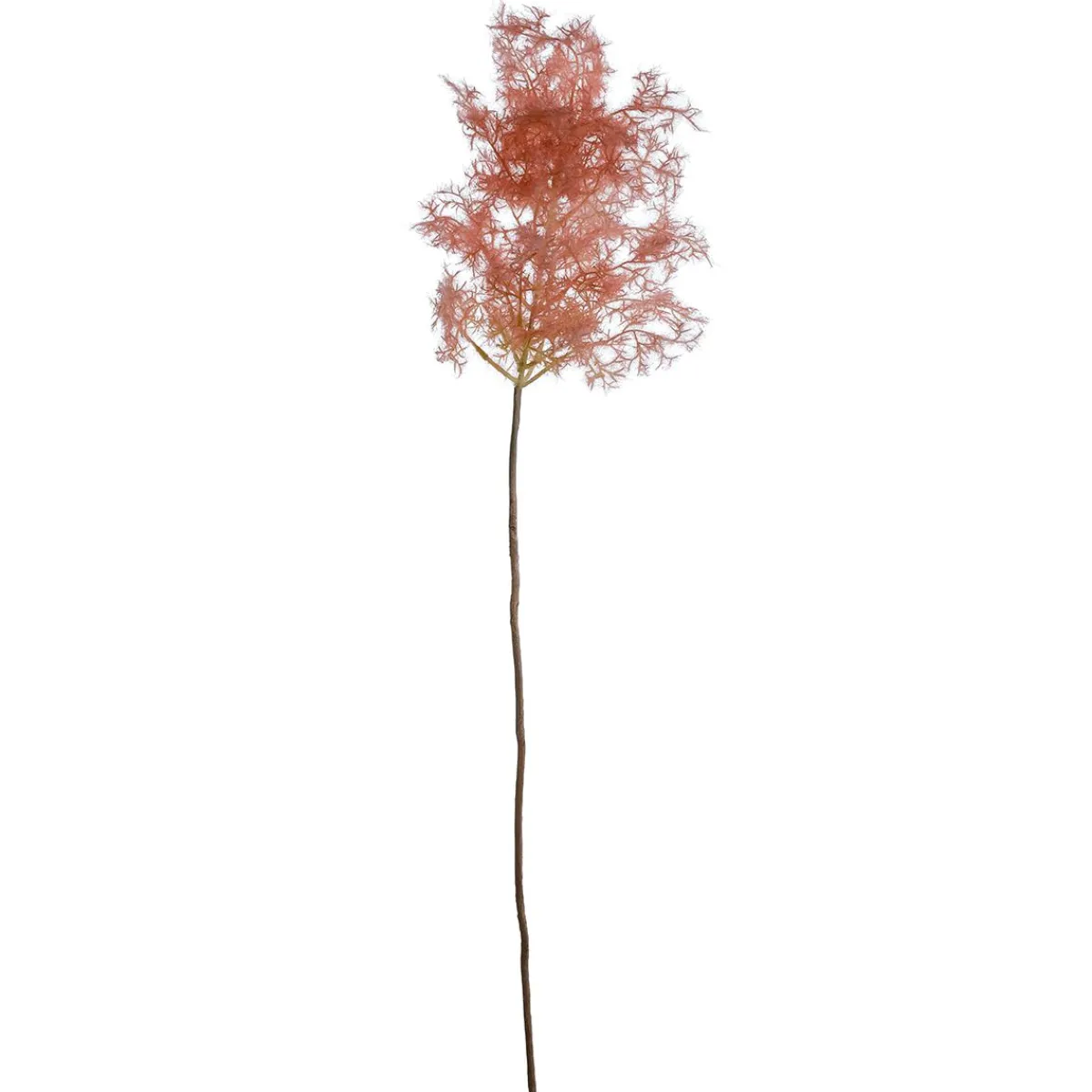 Ramas Y Ramitas|Hierba Decorativa>DecoWoerner Rama Decorativa Flor De Junco, 90 Cm rosa
