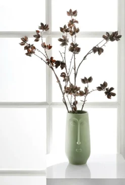 Ramas Y Ramitas>DecoWoerner Rama Decorativa Infrutescencia Del Algodón 110 Cm marrón