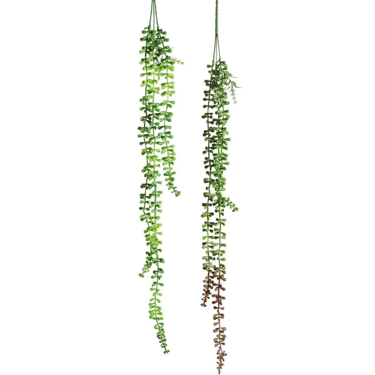 Plantas Verdes|Plantas Colgantes>DecoWoerner Ramas Artificiales Senecio Planta Guisante verde