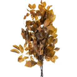 Decoración De Otoño|Ramas Y Ramitas>DecoWoerner Ramitas De Haya Auténticas, Amarillo - Naranja 80 Cm marrón