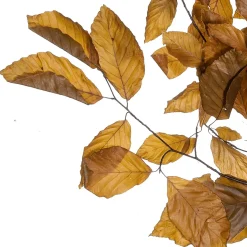 Decoración De Otoño|Ramas Y Ramitas>DecoWoerner Ramitas De Haya Auténticas, Amarillo - Naranja 80 Cm marrón