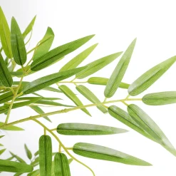 Plantas Verdes|Plantas De Interior><noscript><img width=