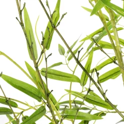 Plantas Verdes|Plantas De Interior><noscript><img width=