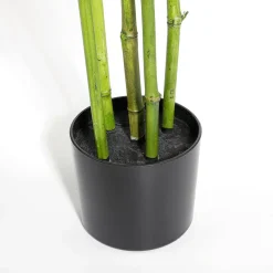 Plantas Verdes|Plantas De Interior><noscript><img width=
