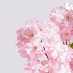 Decoración De Primavera|Árboles Artificiales><noscript><img width=