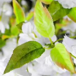Decoración De Primavera|Árboles Artificiales><noscript><img width=