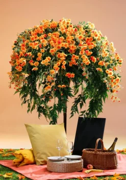 Decoración De Otoño|Decoración De Verano><noscript><img width=