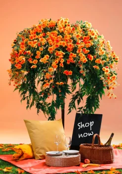 Decoración De Otoño|Decoración De Verano><noscript><img width=