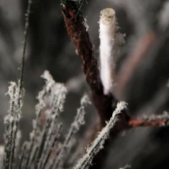 Decoración De Invierno|Árboles Artificiales><noscript><img width=