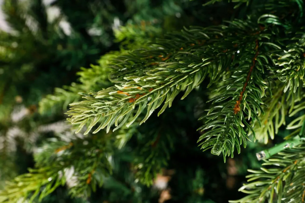 Árboles De Navidad Artificiales>DecoWoerner Árbol De Navidad Artificial Moldeado Por Inyección Pícea De Noruega 180 Cm verde